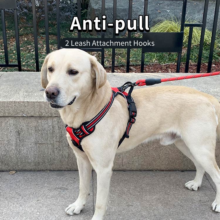 No Pull Sport Pet Harness