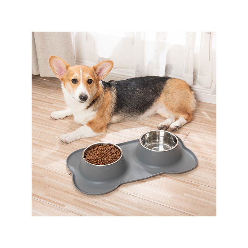 Stainless Steel Pet Feeder Bowl Set with