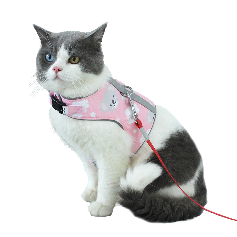 Printing Mesh Cat Vest Harness Leash Set For Small Medium Dogs Cats