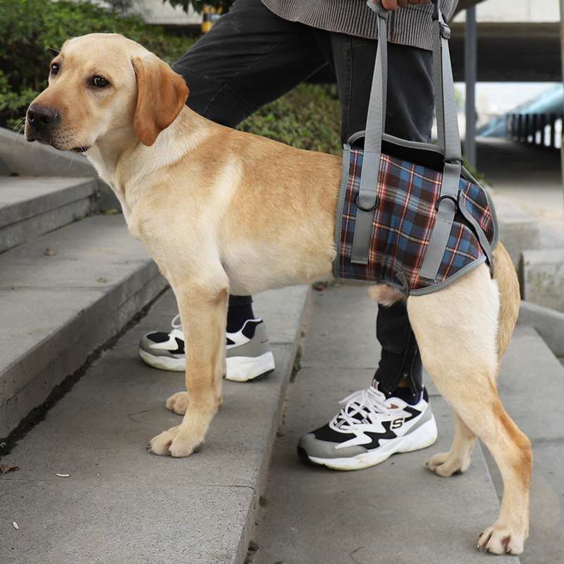 Plaid Dog Walk Assist Belt Leg Lift Pet 
