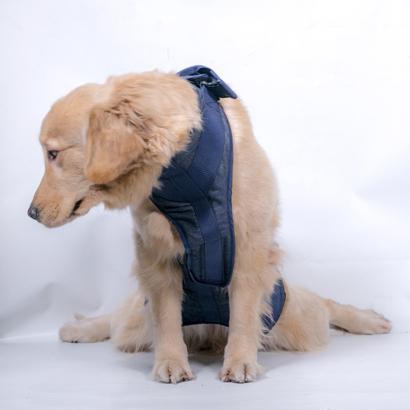 Dog Legs Lift Waist Support Harness with Chest Strap