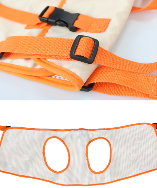 Old Disabled Dog Front Legs Support Harness