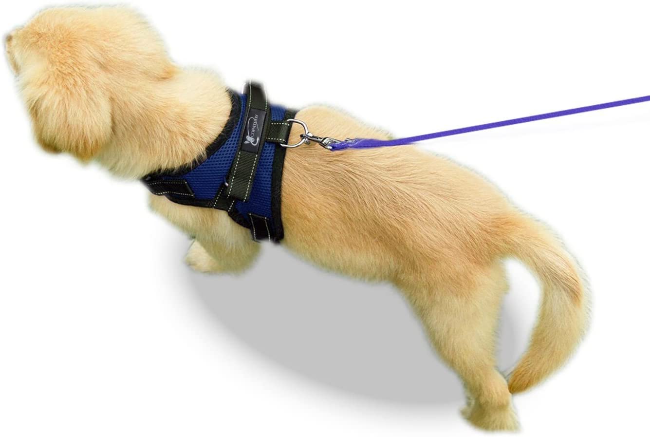 No Pull Reflective Adjustable Dog Harness