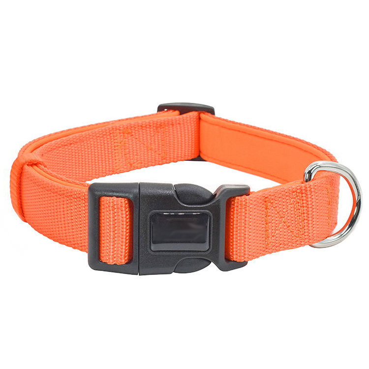 Solid Adjustable Nylon Pet Collar with N