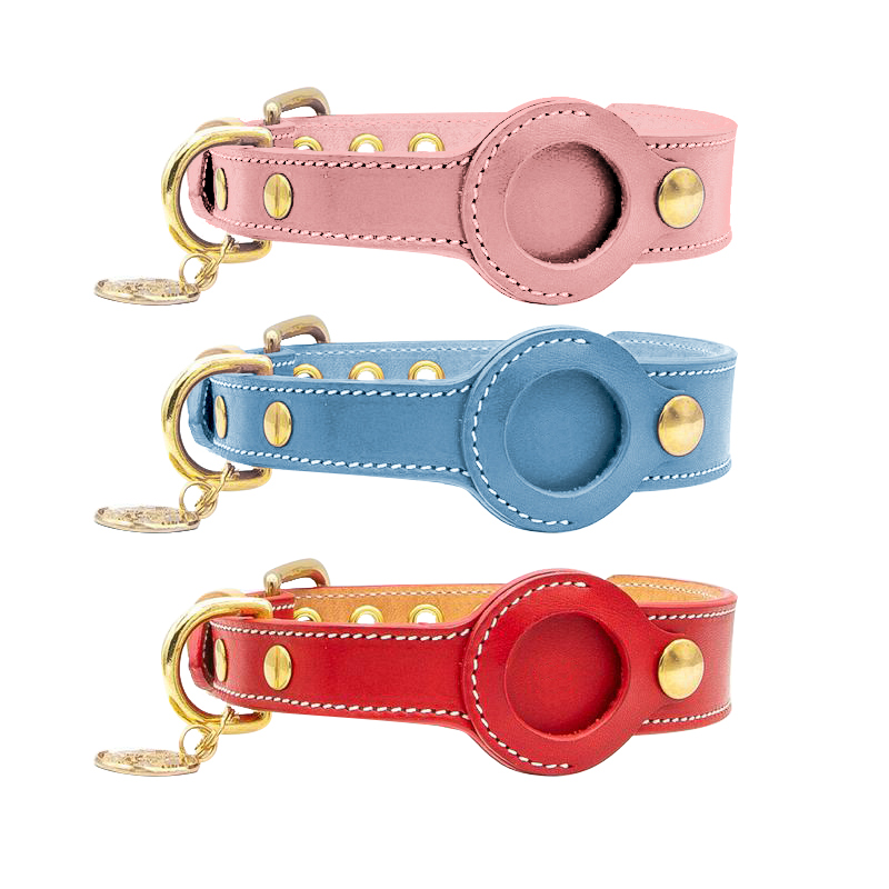 Heavy Duty Metal Buckle Collar with Airt