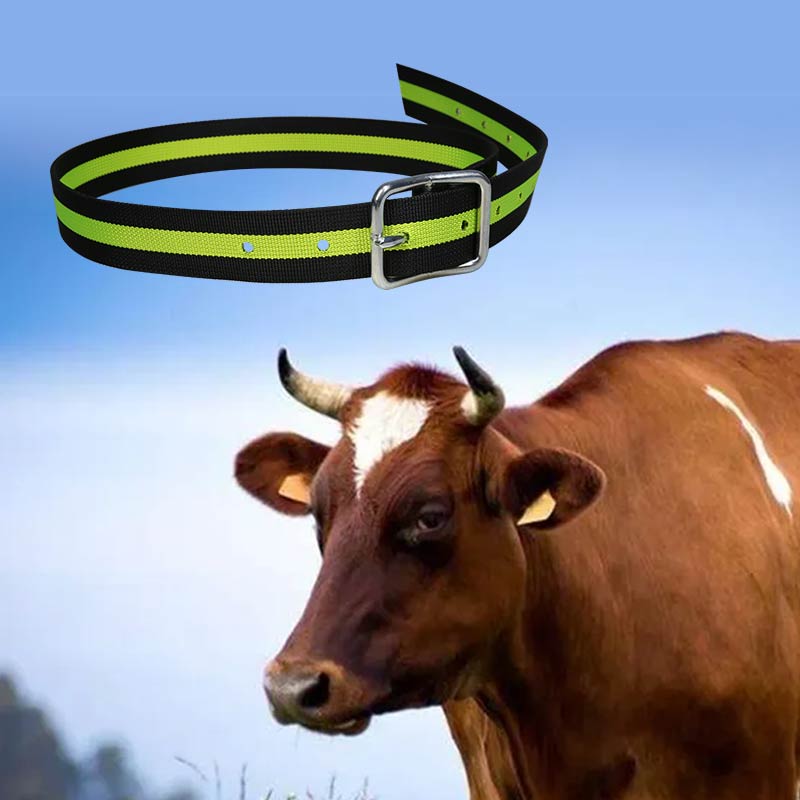 Cattle Collar