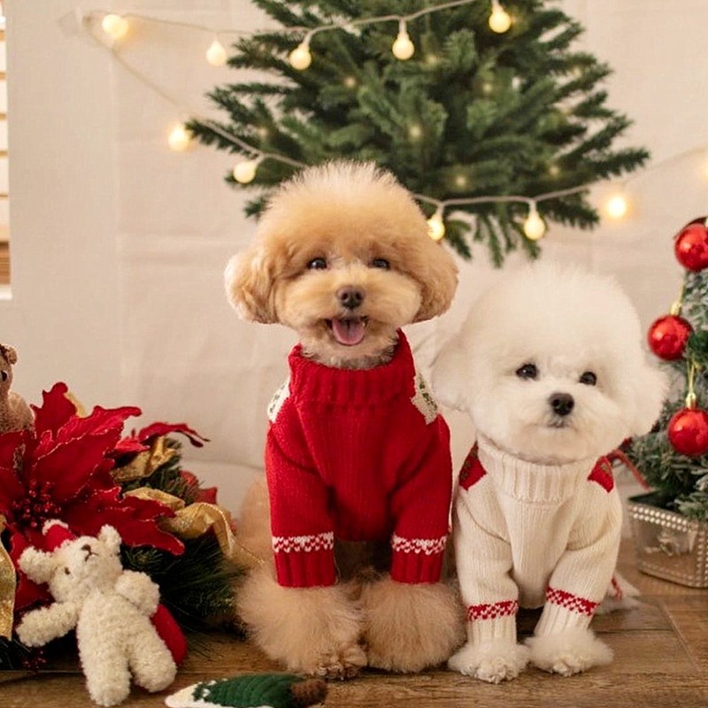 Christmas Style Dog Sweater