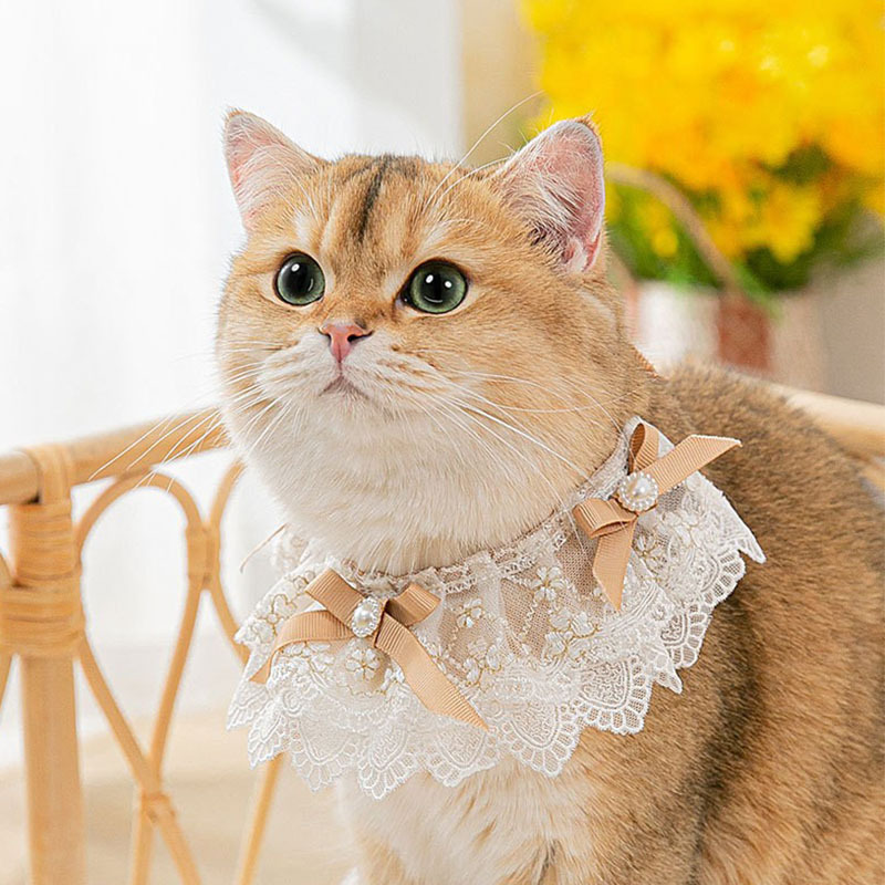 Cute Lace Pet Collar
