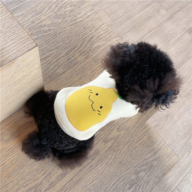 Matching dog And Owner Clothes