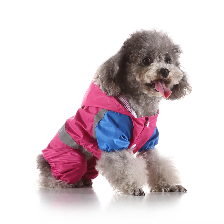 Fashion Dog raincoat