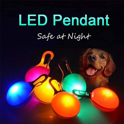 Pet LED Tag Pendant