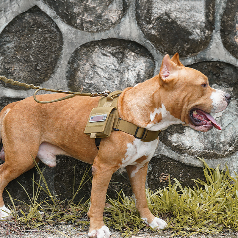 600D Nylon Pet Dog Harness