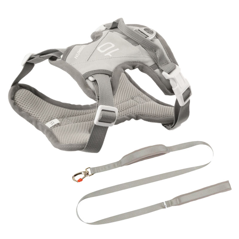 Hidden pocket sports pet harness