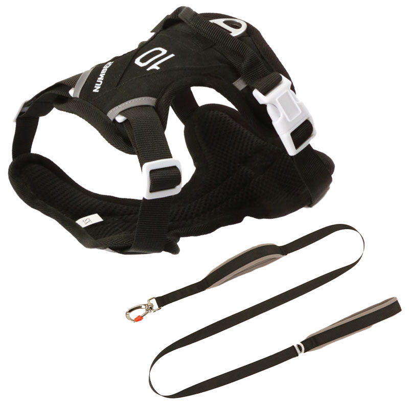Hidden pocket sports pet harness