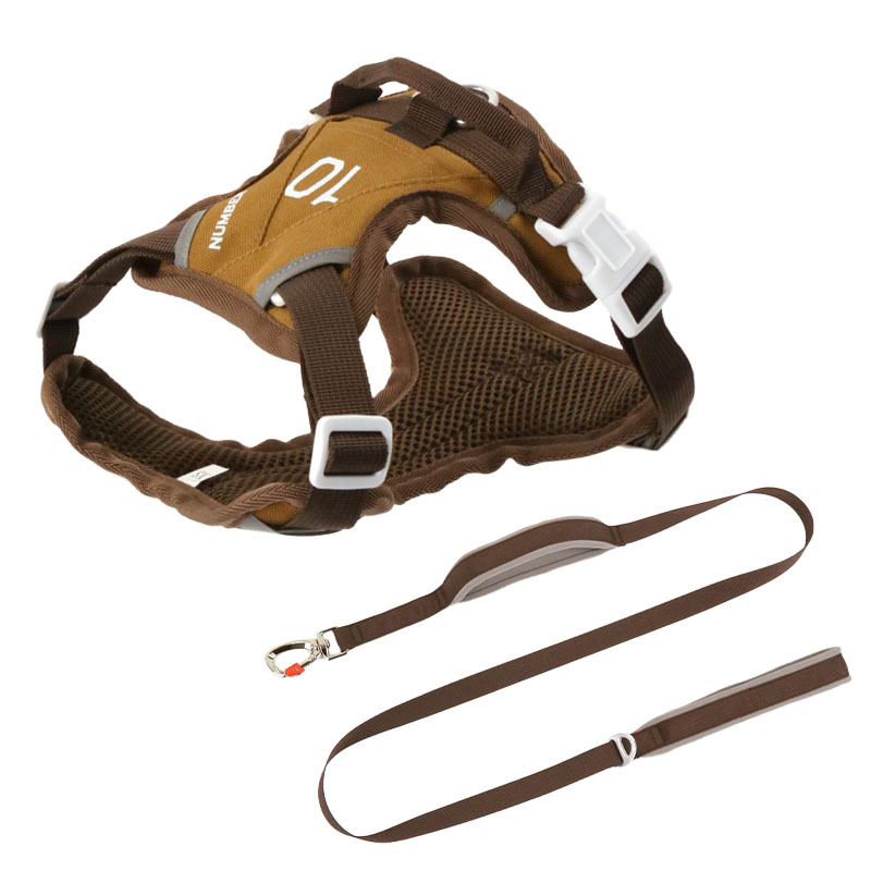 Hidden pocket sports pet harness