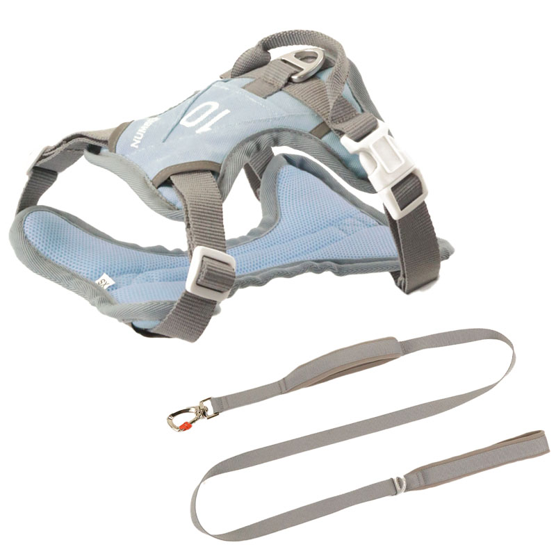 Hidden pocket sports pet harness