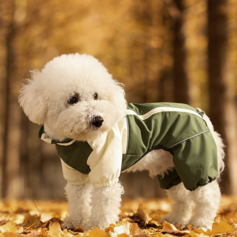 Outdoor raincoat with harness