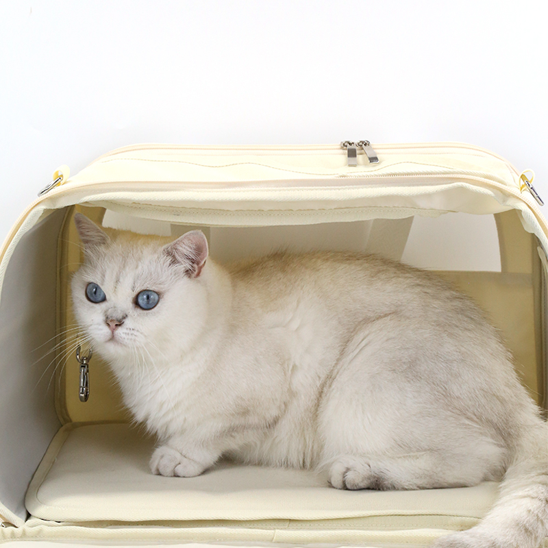 Multi-Functional pet outdoor carrier