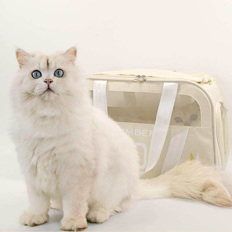 Multi-Functional pet outdoor carrier